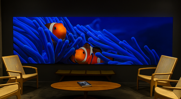 Back-lit SEG lightbox display with LED illumination